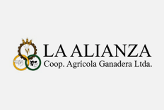 Schulman - Viazzi Consultora de Ingenieria Bahia Blanca Seguridad e Higiene Laboral Ing Medioambiental Gestion de Calidad